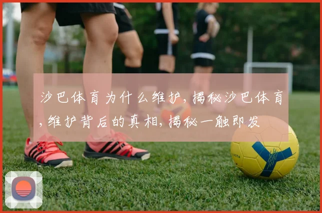 沙巴体育为什么维护,揭秘沙巴体育,维护背后的真相,揭秘一触即发